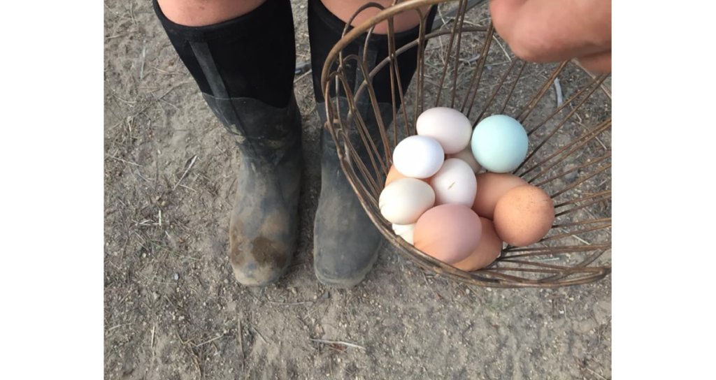 boots-and-eggs