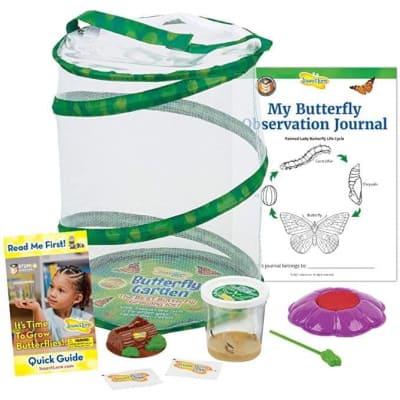 20% Off Butterfly Garden!